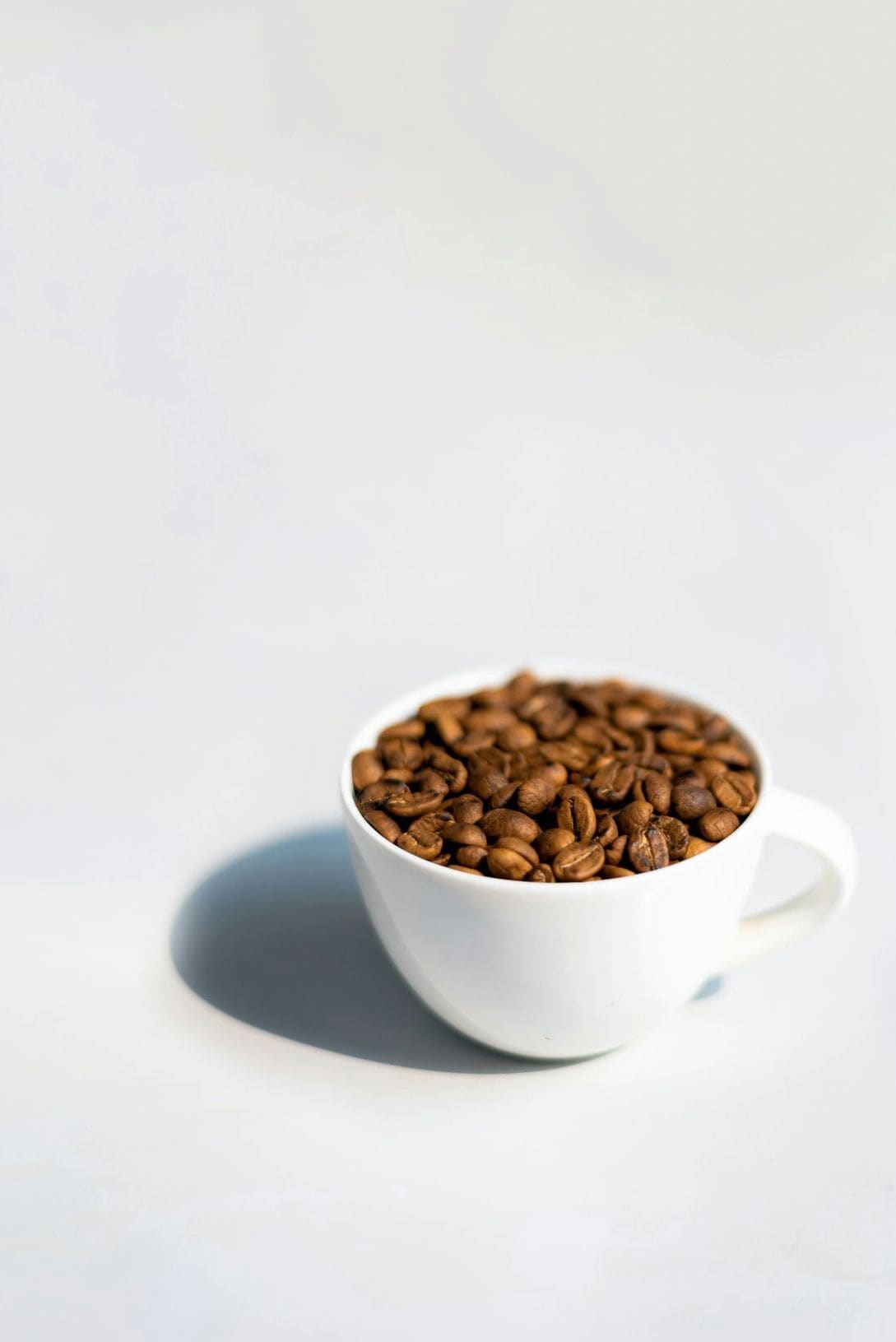 春の香りを楽しむ、カフェノードのおすすめコーヒー抽出メモ